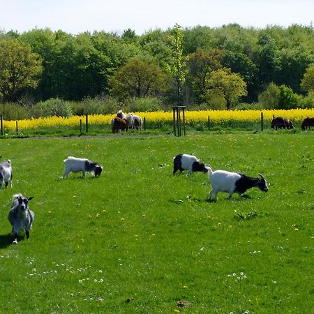 Ferienwohnungen Auf Dem Ferienhof Sell Stoltebull Luaran gambar